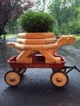 Turtle Planter